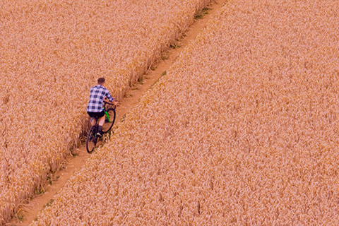 Get tailored banking solutions for the agribusiness industry